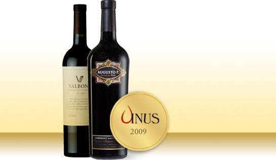 Vinus 2009 / Medallas de Oro Augusto P. 2005 y Valbona Roble Malbec 2006