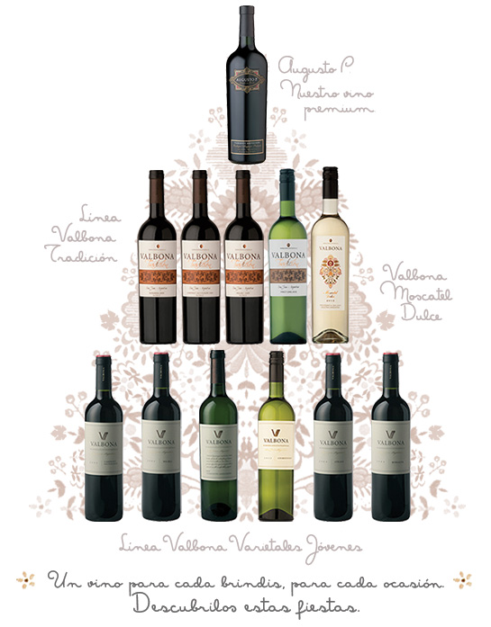 Nuestros vinos!