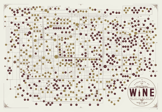 The Genealogy of Wine